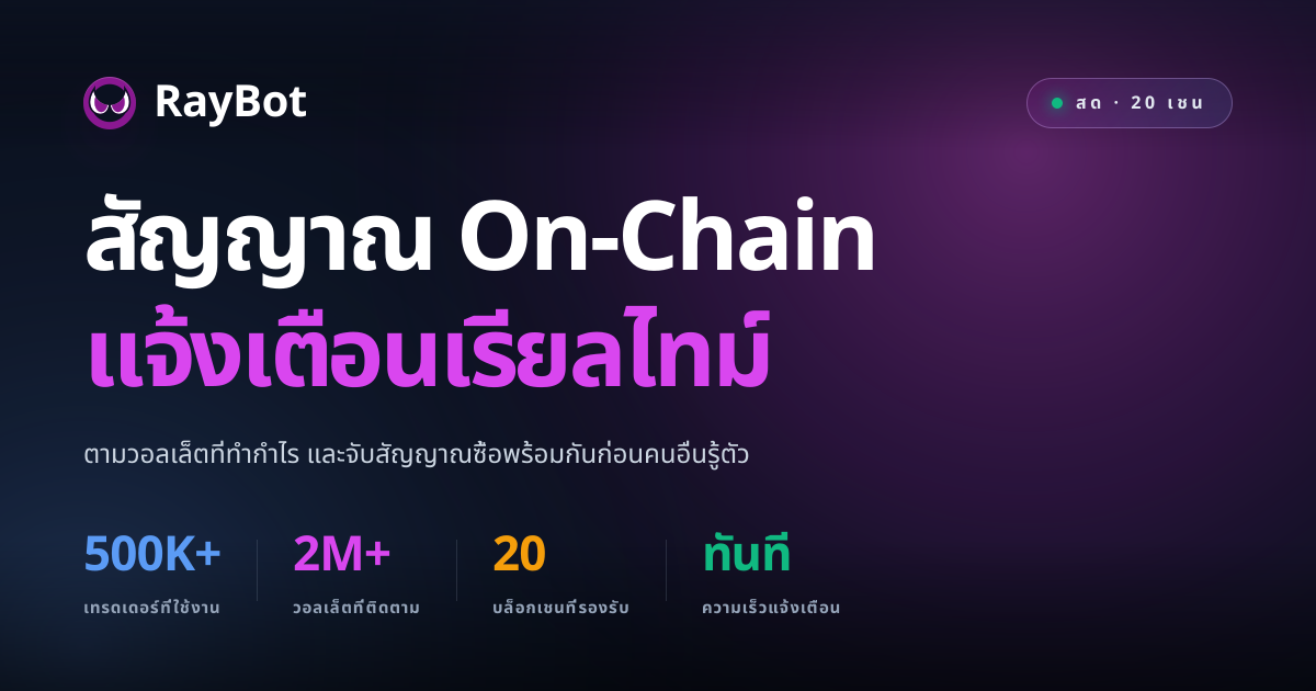 RayBot. ตัวตามวอลเล็ตคริปโตเรียลไทม์ พร้อมแจ้งเตือนทันที